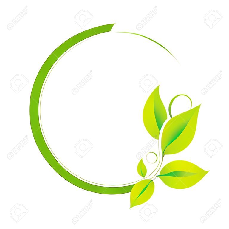 Vrille de cercle vert avec des feuilles vector illustration EPS10