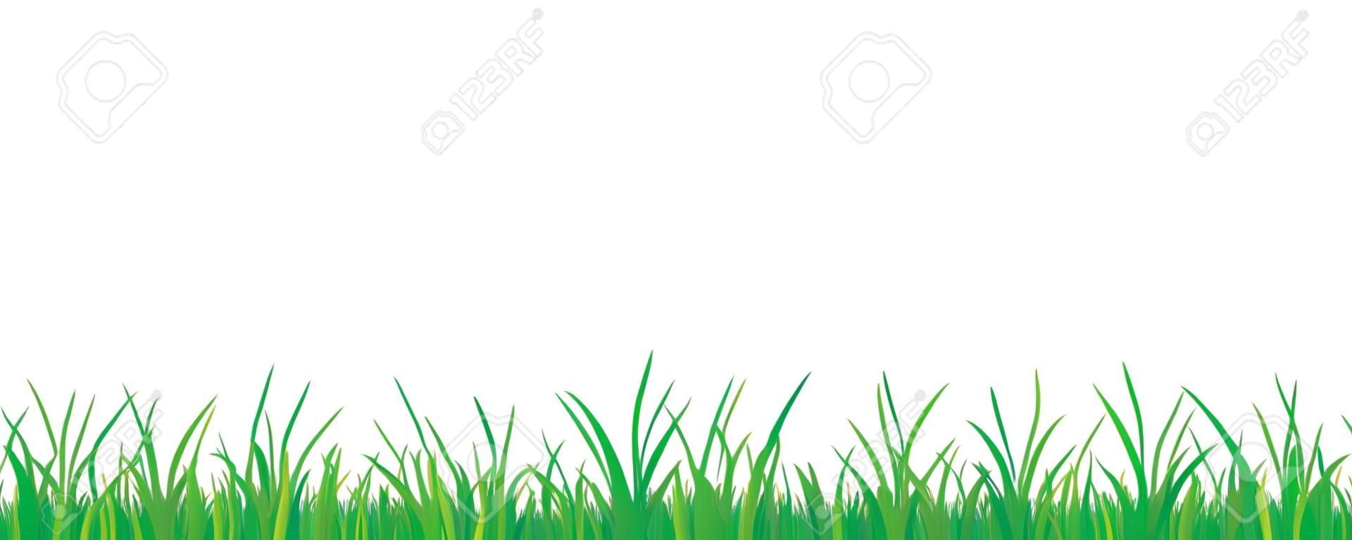grama verde prado fronteira vector padrão isoladet em um fundo branco vector ilustração EPS10