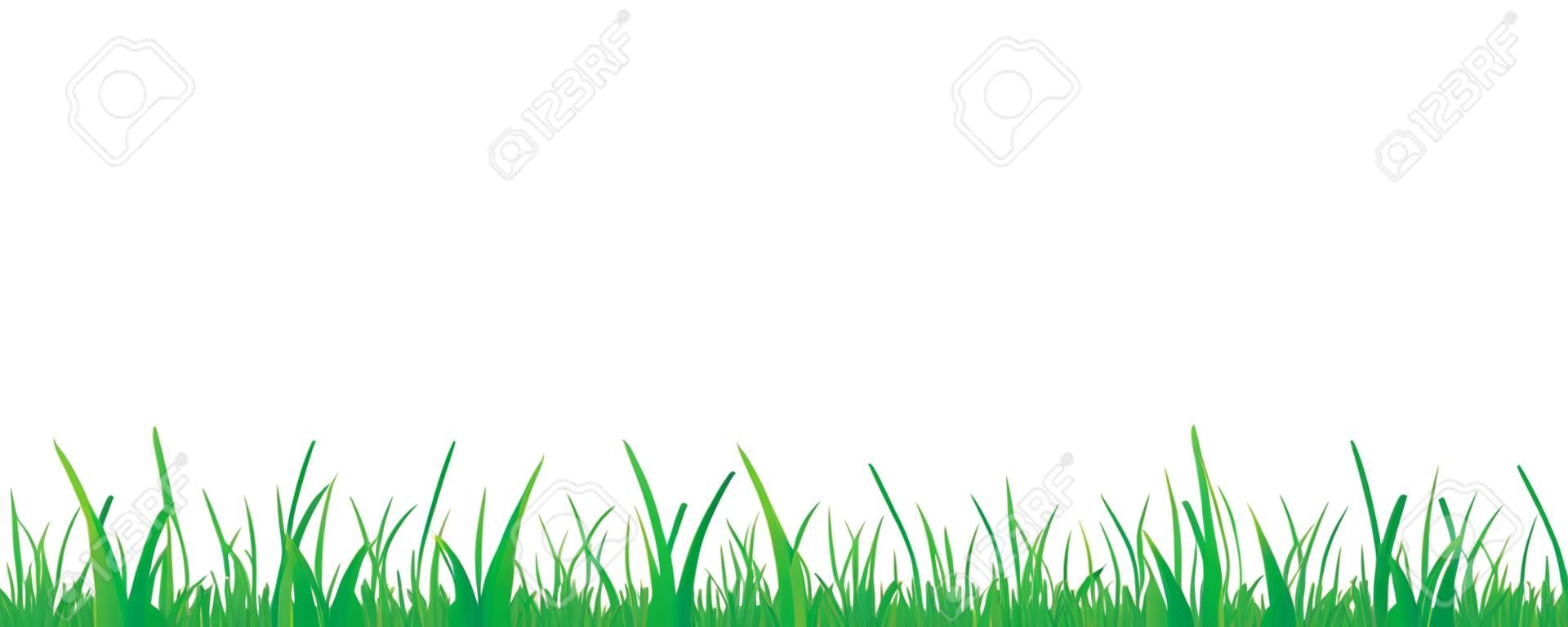 grama verde prado fronteira vector padrão isoladet em um fundo branco vector ilustração EPS10