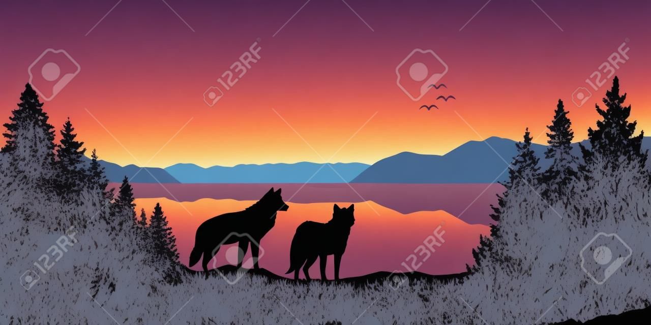 two wolves look to the lake and mountain landscape at sunrise vector illustration EPS10