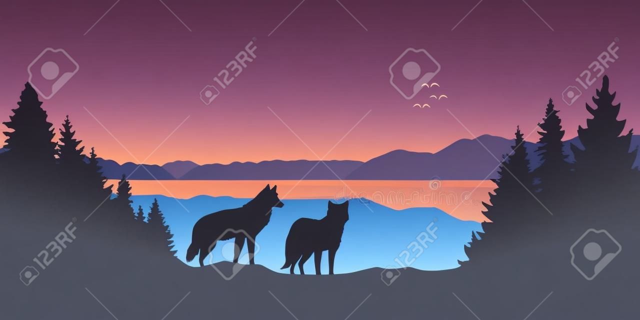 two wolves look to the lake and mountain landscape at sunrise vector illustration EPS10