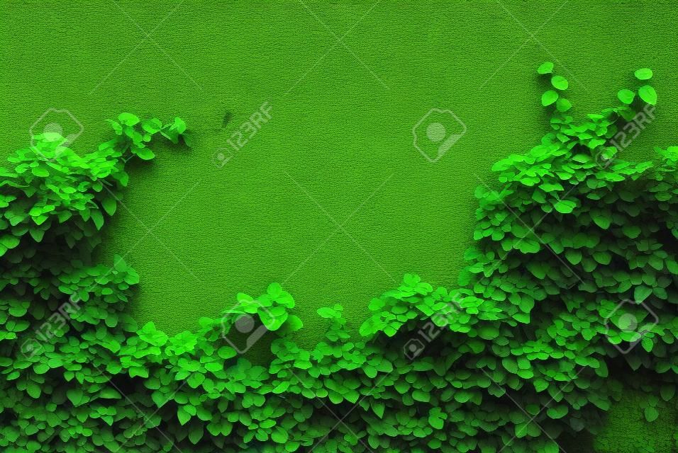 Die Grüne Creeper Werk an der Wand