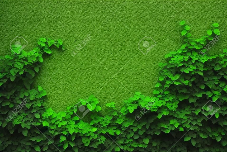 Die Grüne Creeper Werk an der Wand