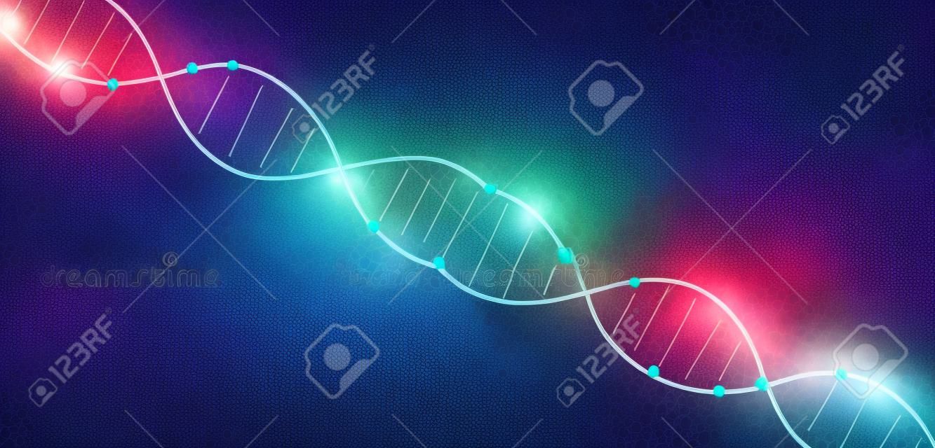 Wissenschaftsvorlage, Tapete oder Banner mit DNA-Molekülen. Vektor-Illustration