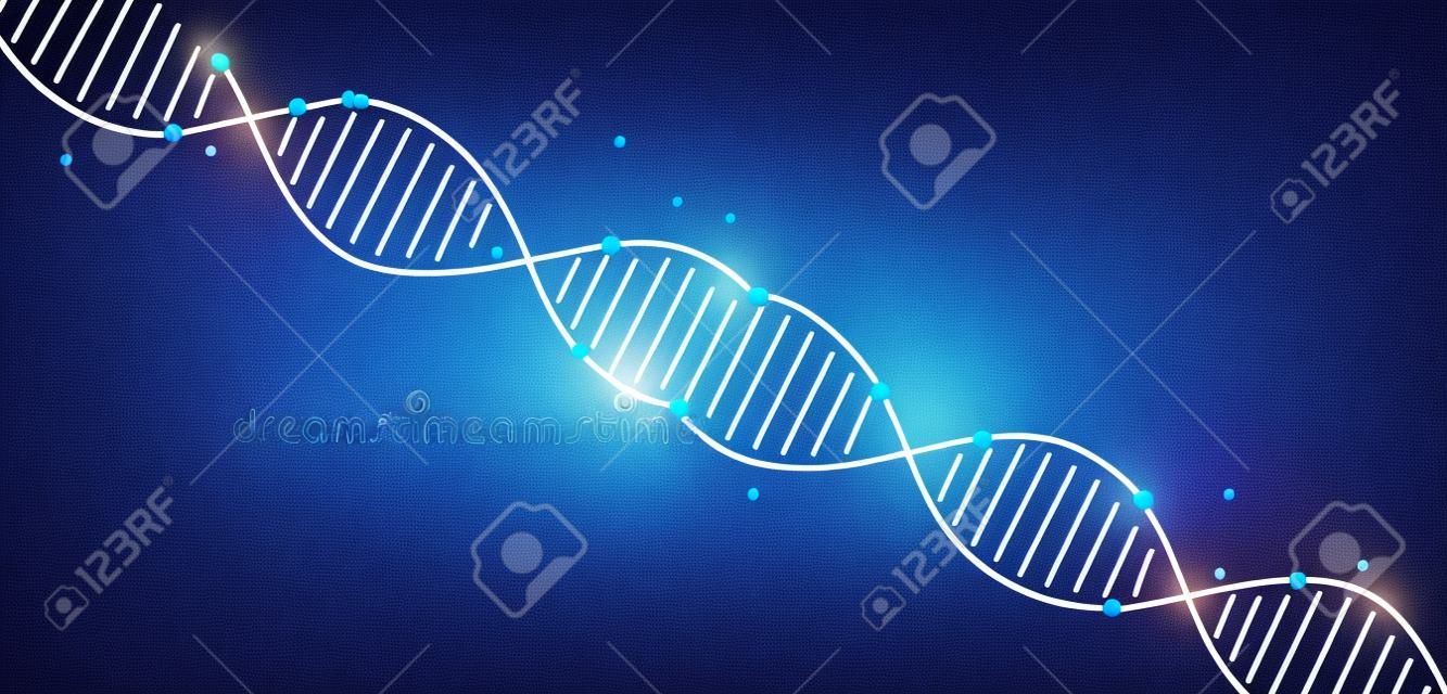 Modello scientifico, carta da parati o banner con molecole di DNA. Illustrazione vettoriale
