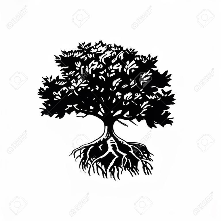 木と根のシルエット。オーク、オリーブの木します。