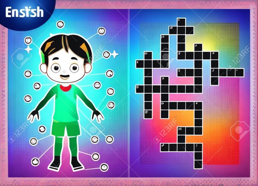Vector colorful crossword in English, education game for children about the human body. My body parts for a boy