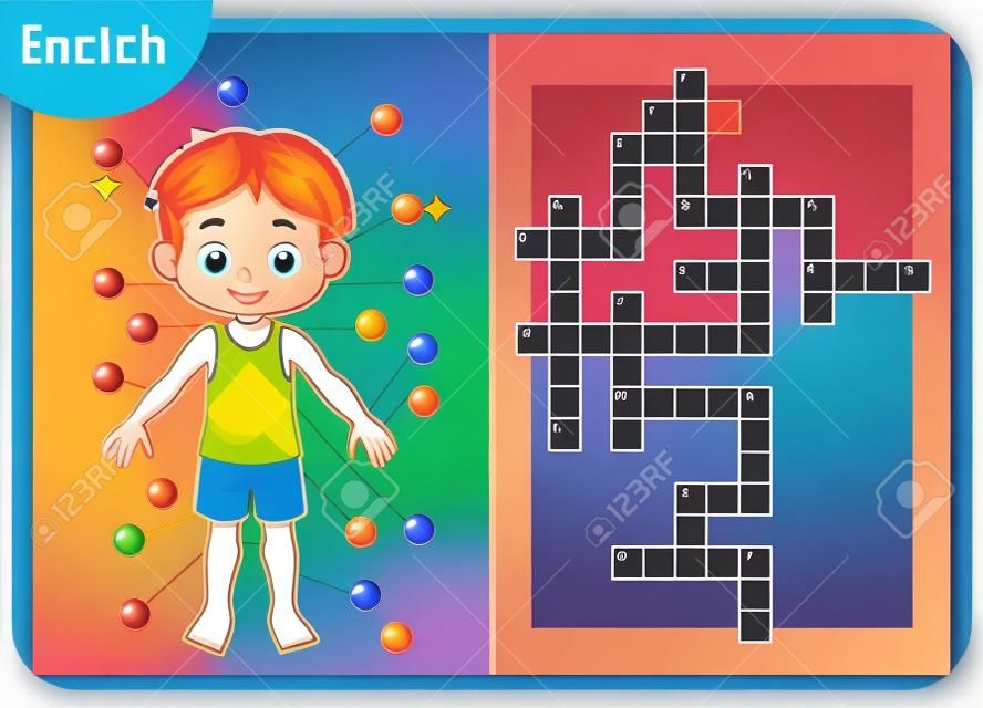 Vector colorido crucigrama en inglés, juego educativo para niños sobre el cuerpo humano. Las partes de mi cuerpo para un niño