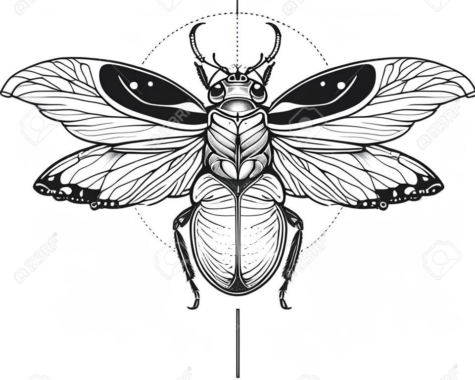 Illustration d'insecte de dessin de tatouage de scarabée.