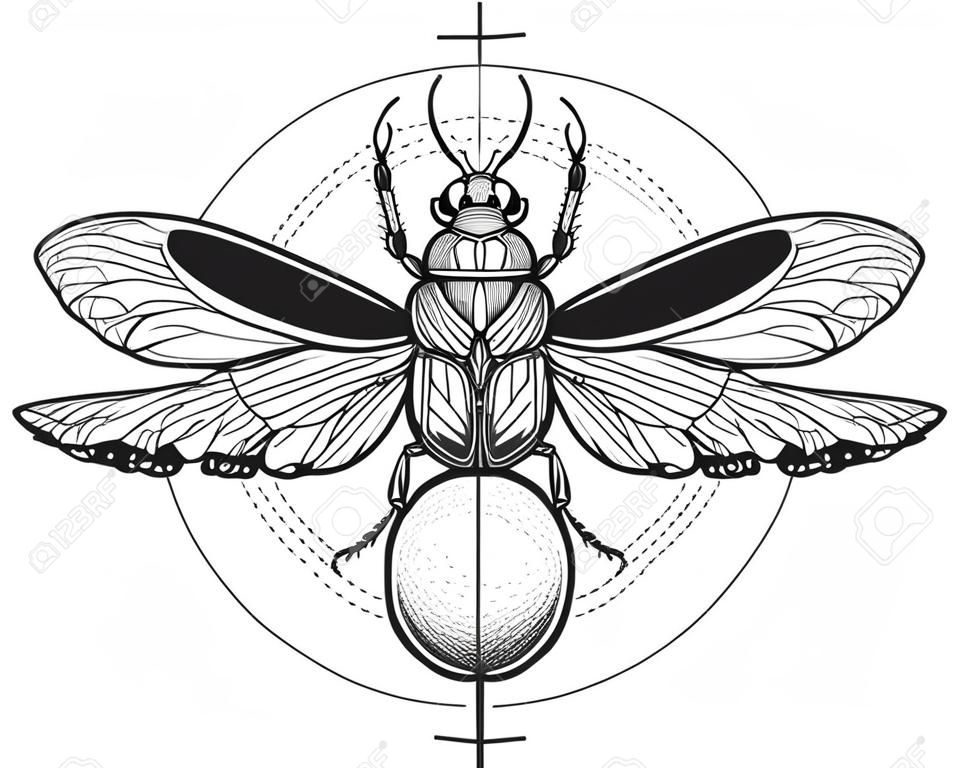 Illustrazione di bug di disegno del tatuaggio del Scarab.