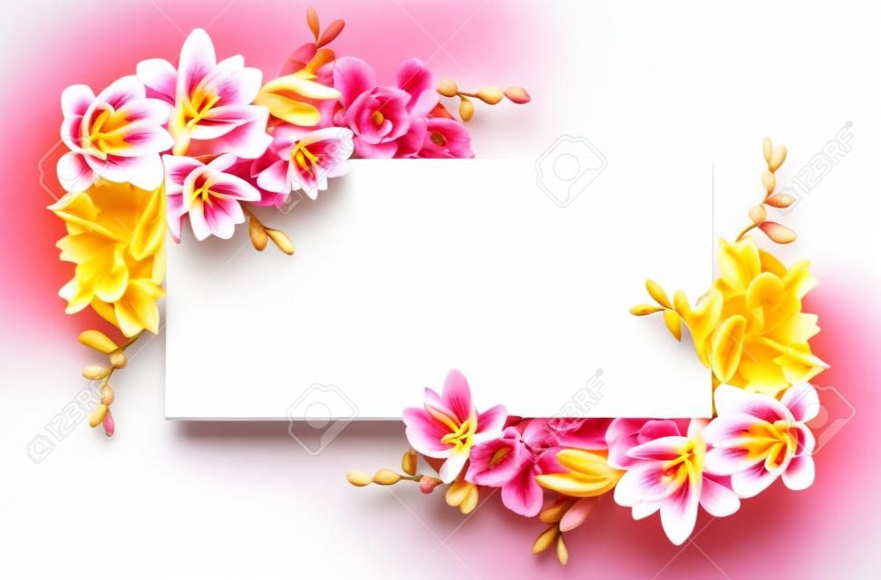 Pink and yellow freesia flowers in a corners arrangements on white card isolated on white background