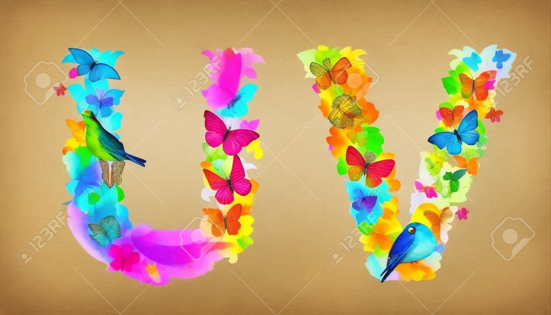 fancy collection of colorful letters U, V with butterflies and birds for your design