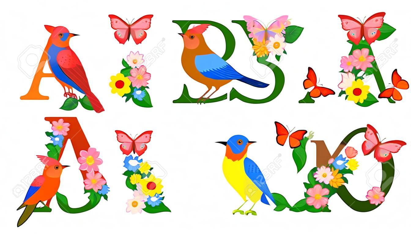 ausgefallene Sammlung von bunten Buchstaben A, B mit Schmetterlingen und Vögeln für Ihr Design