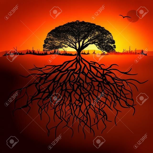 Silhouette albero con radici