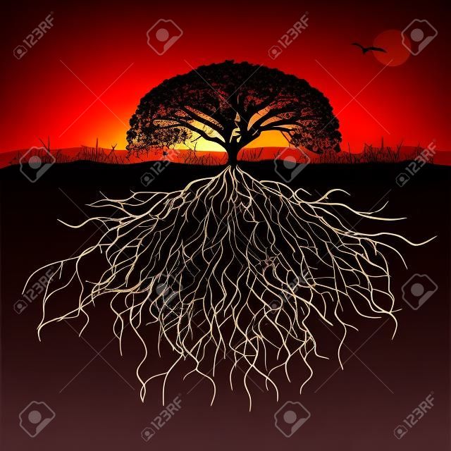 Tree Silhouette mit Wurzeln