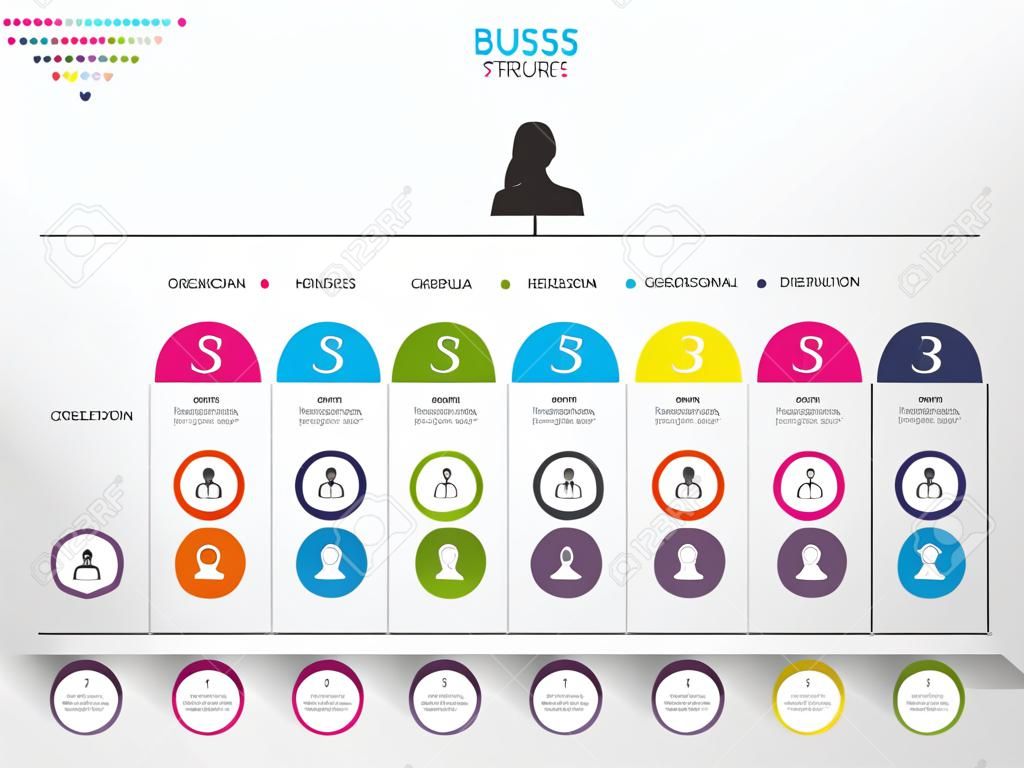 Business structure. Organisation chart. Infographic design. Vector