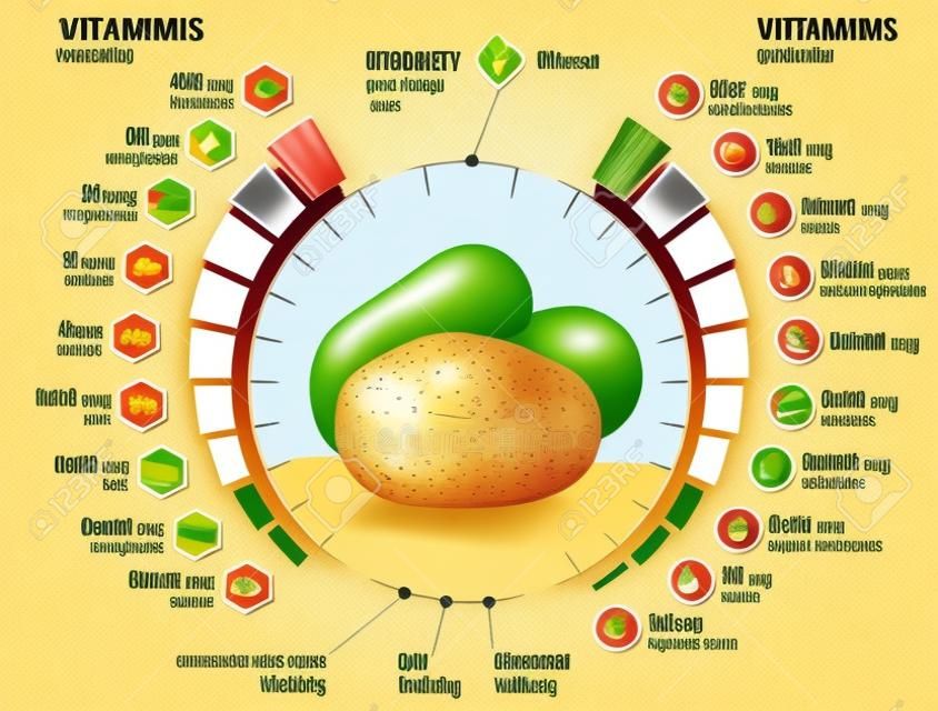 Витамины и минералы клубня картофеля. Инфографика о питательных веществ в картофеле. Качественная векторные иллюстрации о картофеля, витаминов, овощей, здорового питания, питательных веществ, диета и т.д.