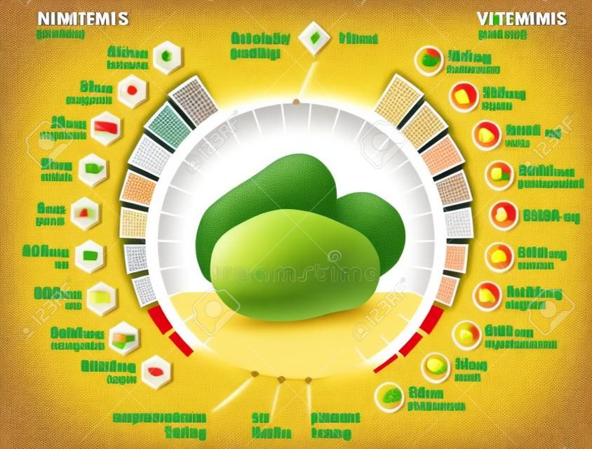 Vitaminas e minerais de tubérculo de batata. Infográficos sobre nutrientes na batata. Ilustração vetorial qualitativa sobre batata, vitaminas, vegetais, alimentos saudáveis, nutrientes, dieta, etc