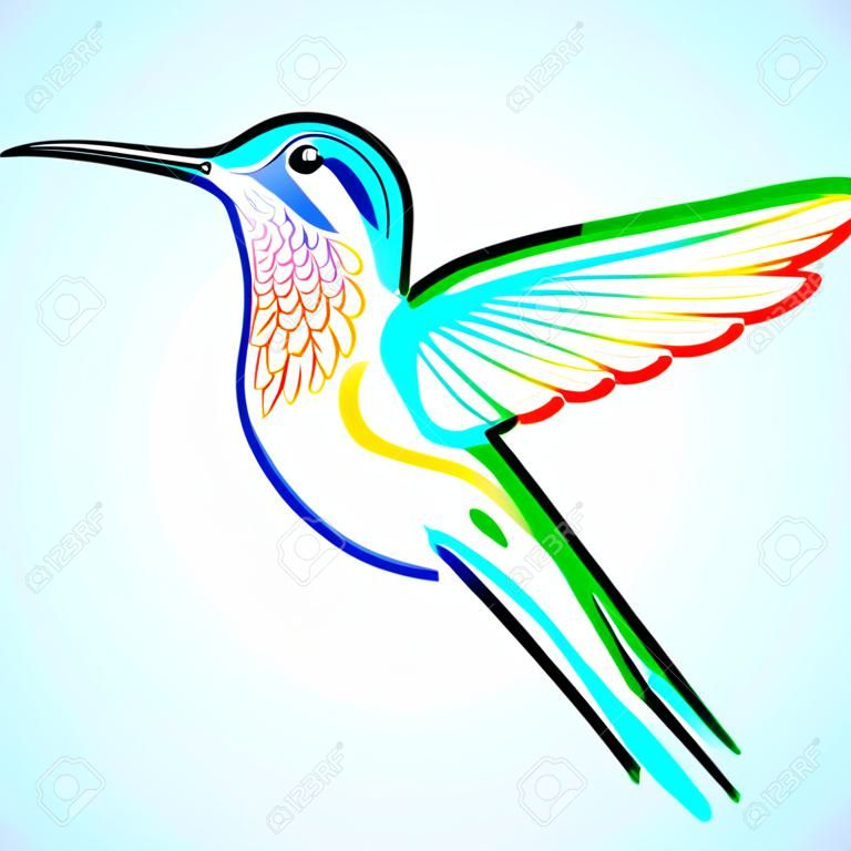 Kleurrijke kolibrie
