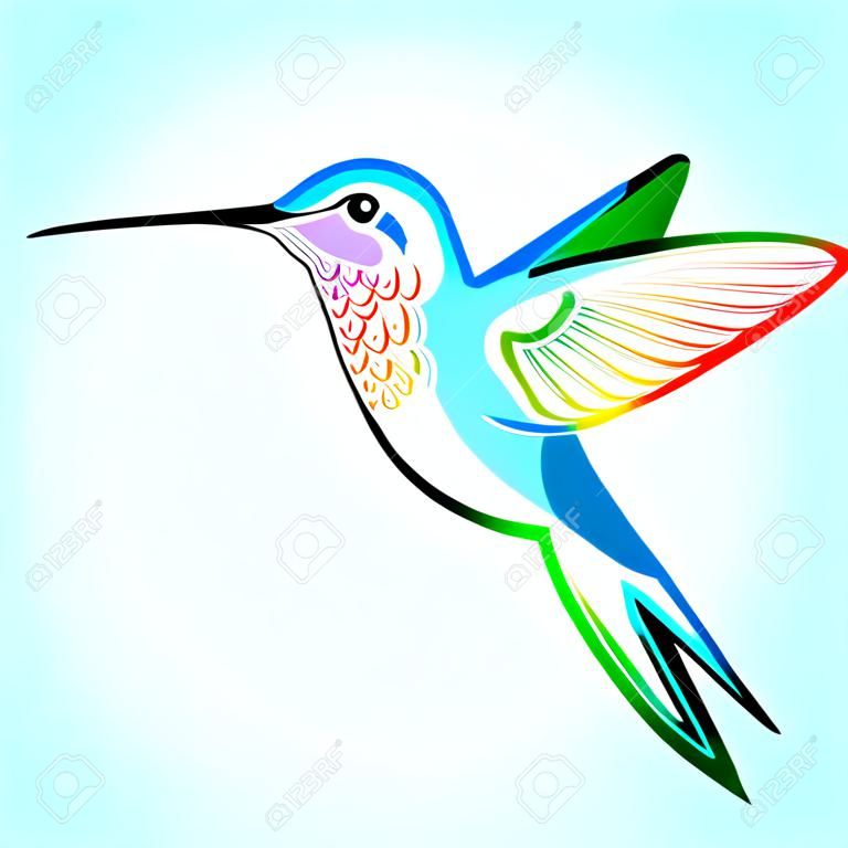 Kleurrijke kolibrie