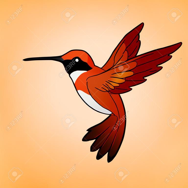 Red hummingbird floating