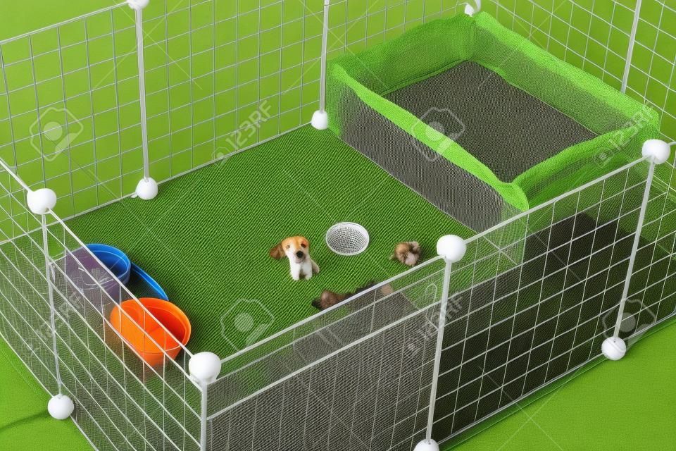 An aviary for a dog with toys and food cups. Comfort for pets.