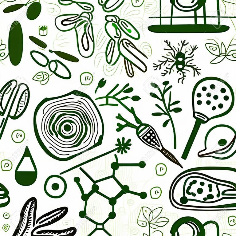 Nahtlose Muster Hintergrund - Abbildung der Biologie Zeichnungen, Gekritzelart