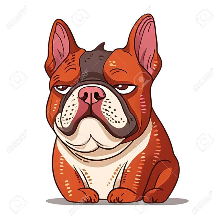 Eine französische Bulldogge, isolierte Vektorillustration. Cartoon-Bild. ein kleiner apathischer Hund. gezeichnete Tieraufkleberkunst. einfache Zeichnung einer verärgerten Bulldogge auf weißem Hintergrund. ein Haustier. ein trauriger Welpe.