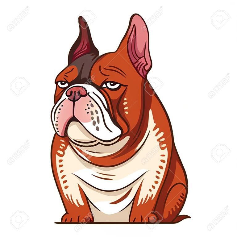 Eine französische Bulldogge, isolierte Vektorillustration. Cartoon-Bild. ein kleiner apathischer Hund. gezeichnete Tieraufkleberkunst. einfache Zeichnung einer verärgerten Bulldogge auf weißem Hintergrund. ein Haustier. ein trauriger Welpe.