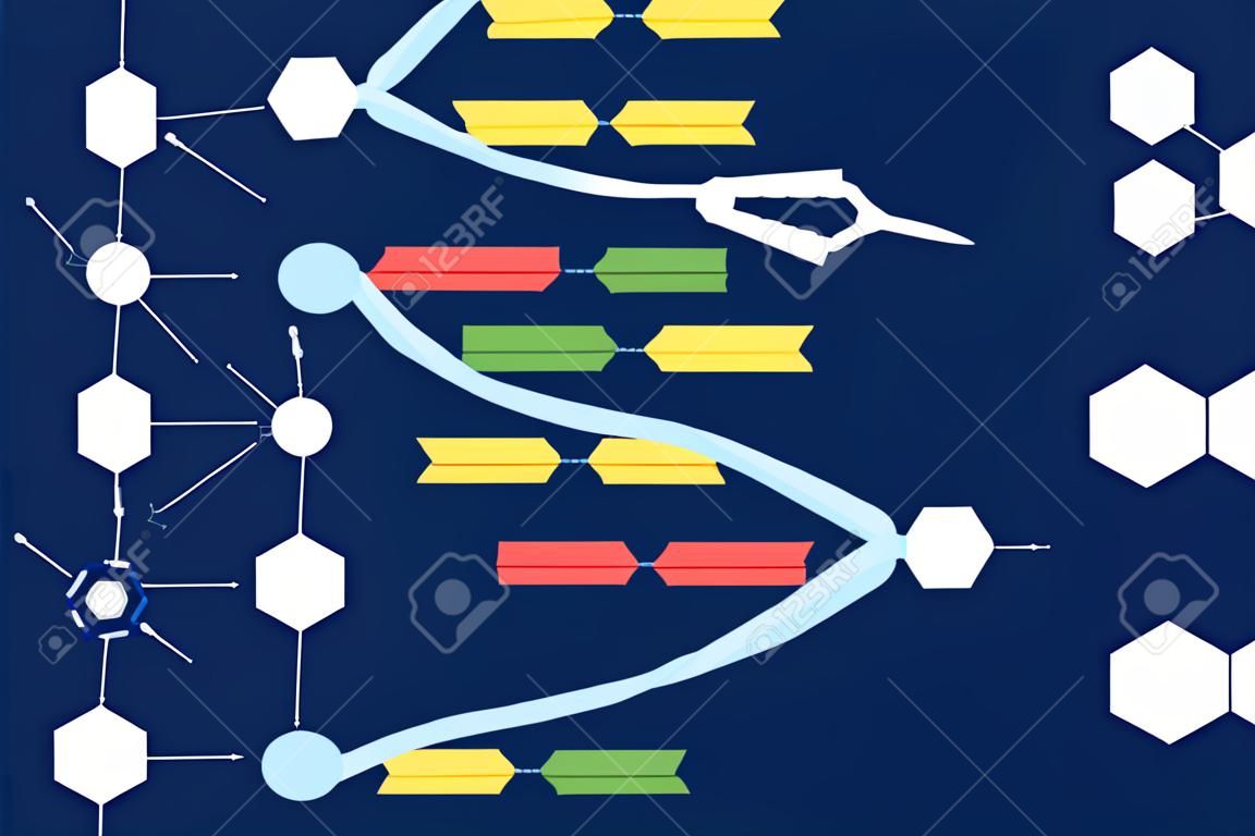 DNAエンジニアリング。CRISPR Cas9、遺伝子編集および操作。遺伝子組み換え、生化学および医学。ヒトゲノム実験最近のベクターコンセプト