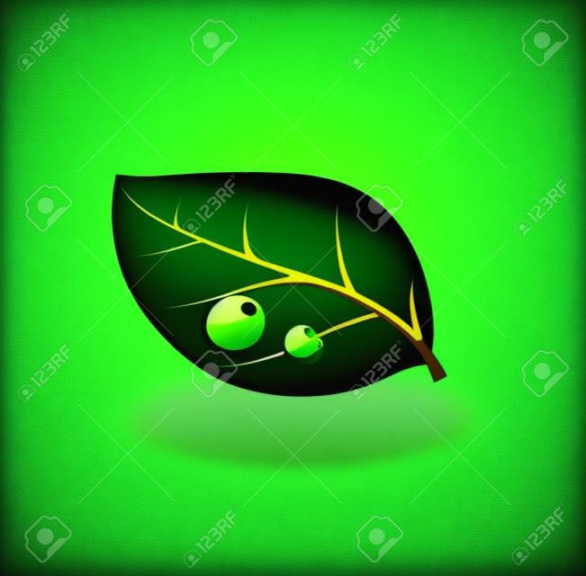 Vector illustration of green environment concept icon with glossy green leaf. May be used in ecological, medical, chemical, food and oil design.