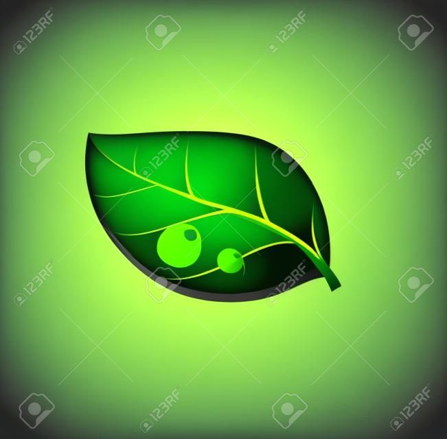 Vector illustration of green environment concept icon with glossy green leaf. May be used in ecological, medical, chemical, food and oil design.