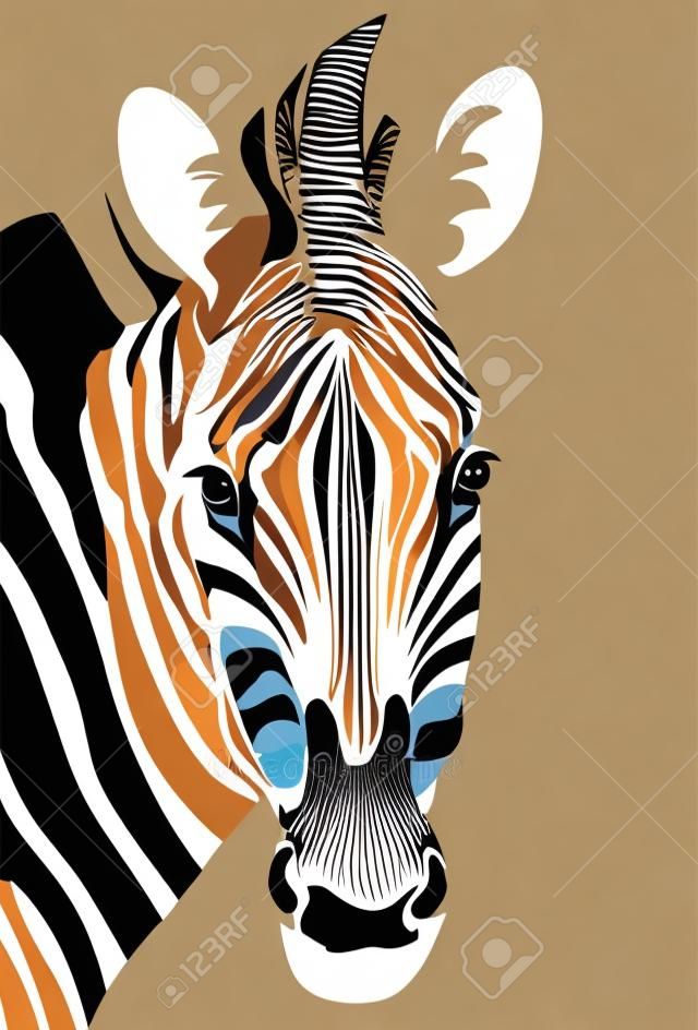 Cabeça de zebra. Ilustração vetorial