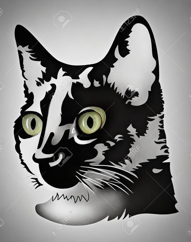 Schwarz-Weiß-Bild eines Kopfes einer schwarzen Katze mit großen Augen