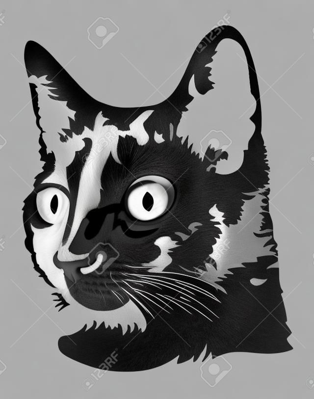 Schwarz-Weiß-Bild eines Kopfes einer schwarzen Katze mit großen Augen