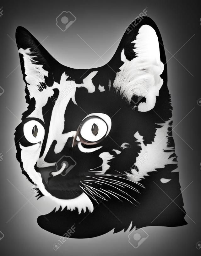 Черно-белое изображение головы черного кота с большими глазами