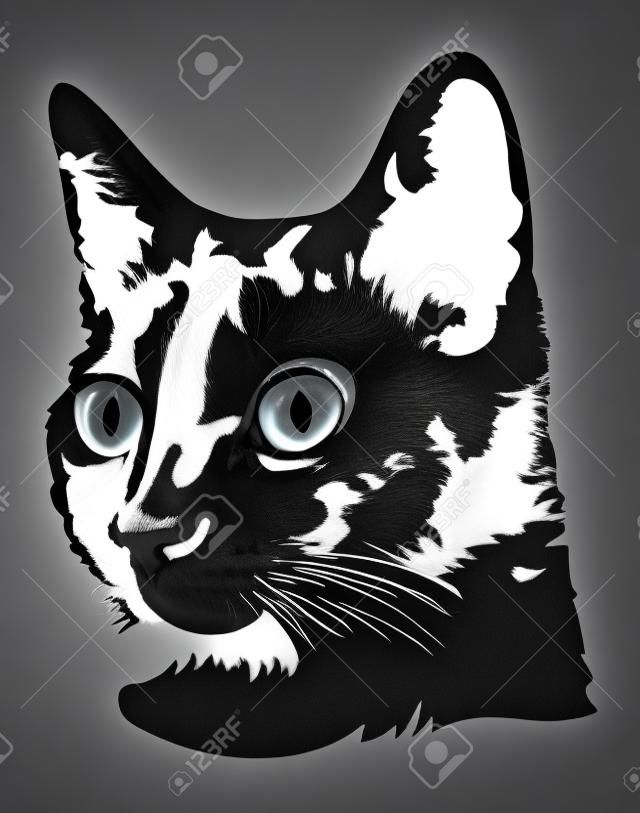 Czarno-biały obraz z głowy czarny kot z dużymi oczami