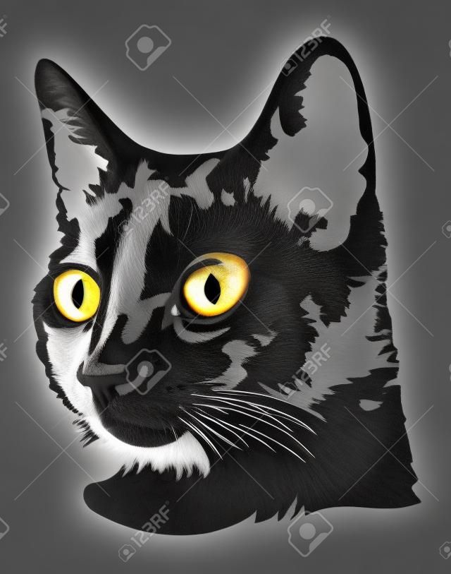 Zwart-wit beeld van een kop van een zwarte kat met grote ogen