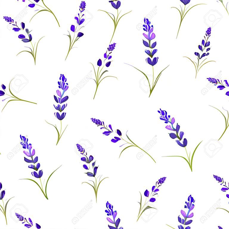 Lavender flowers seamless pattern on white background.