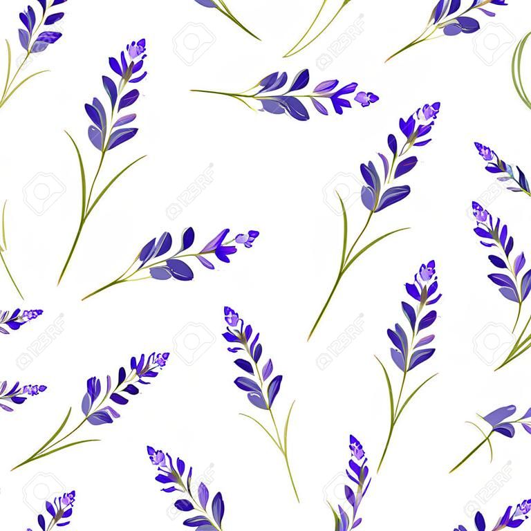 Lavender flowers seamless pattern on white background.