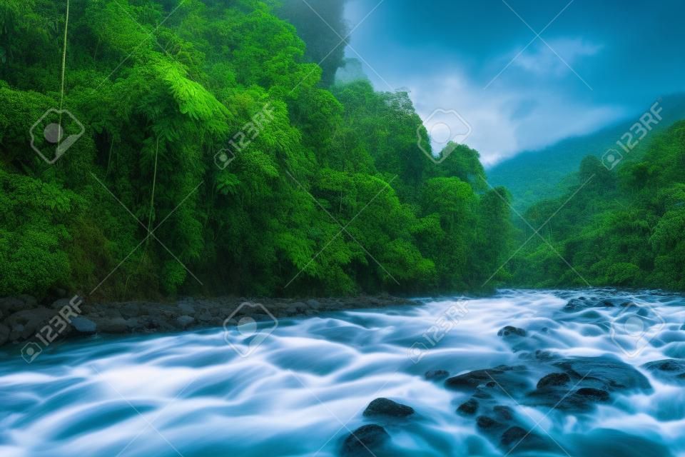Misteriosa giungla montuosa con alberi che si affacciano sul torrente veloce con rapide. Scenario magico di foresta pluviale e fiume con rocce. Vegetazione selvaggia e vivida della foresta tropicale. North Sumatra, Indonesia.