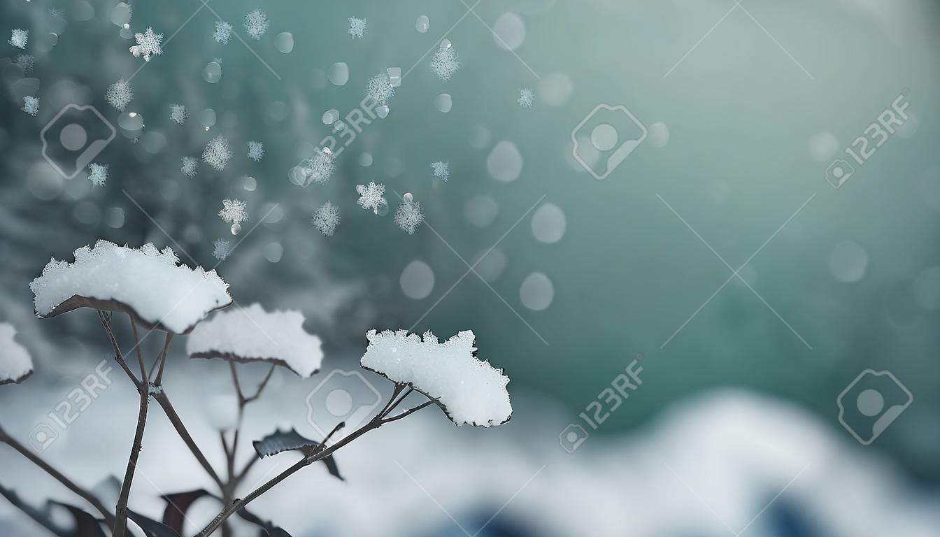 Winter background with snowflakes and bokeh effect. Winter landscape.