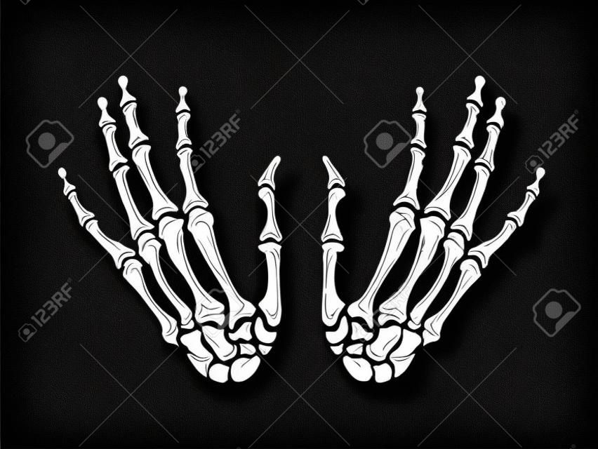 Dibujo vintage de manos de hueso de esqueleto humano. ilustración de mano de esqueleto vectorial sobre fondo negro. diseño de moda para tarjetas de halloween, invitaciones, decoración, estampado, diseño de camisetas