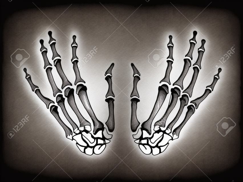 Dibujo vintage de manos de hueso de esqueleto humano. ilustración de mano de esqueleto vectorial sobre fondo negro. diseño de moda para tarjetas de halloween, invitaciones, decoración, estampado, diseño de camisetas