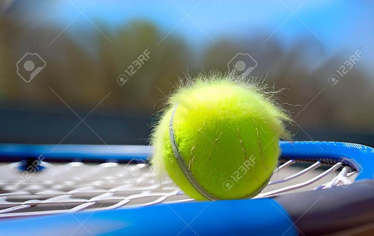 Haired tennis ball on a racquet