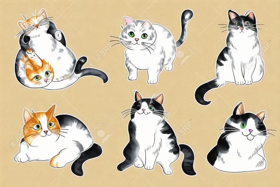 Collection de chats dessinés à la main. Ensemble de pose différent de caractère de chats. Collecte de chats.