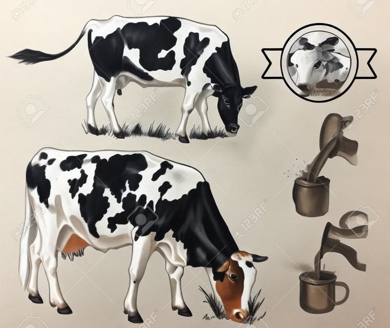 vacche da riproduzione. set di schizzi fatti a mano