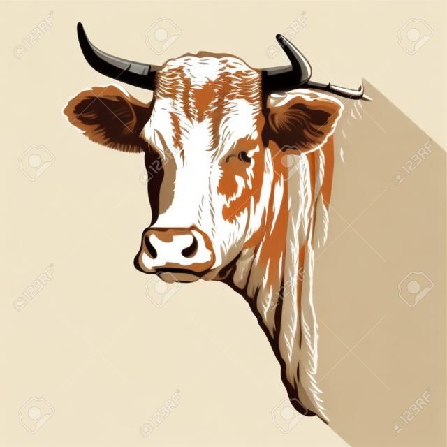 Criação de gado. cabeça de um Texas longhorn. esboço do vetor no fundo branco