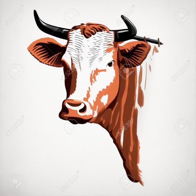 Criação de gado. cabeça de um Texas longhorn. esboço do vetor no fundo branco