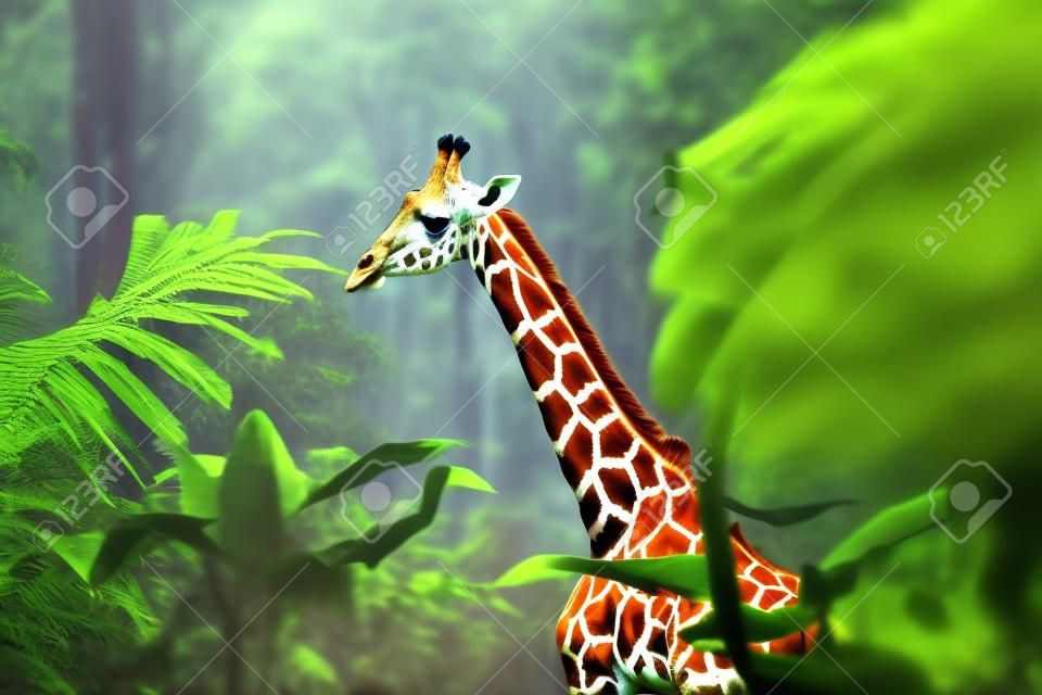 Giraffe im Dschungeltier in der Dschungelwildtierszene